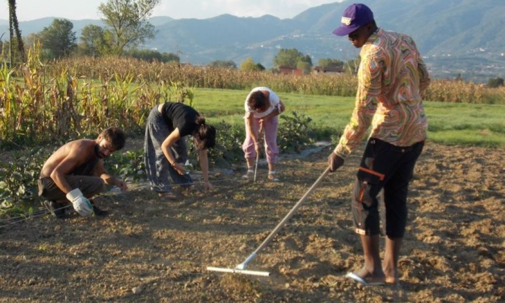 Innovazione sociale in agricoltura: un seminario promosso dal Forum Nazionale