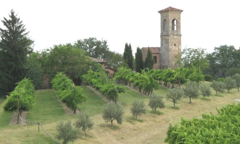 Torna la Camminata dall'Eremo ai Gessi, a cura di Uisp e CSI