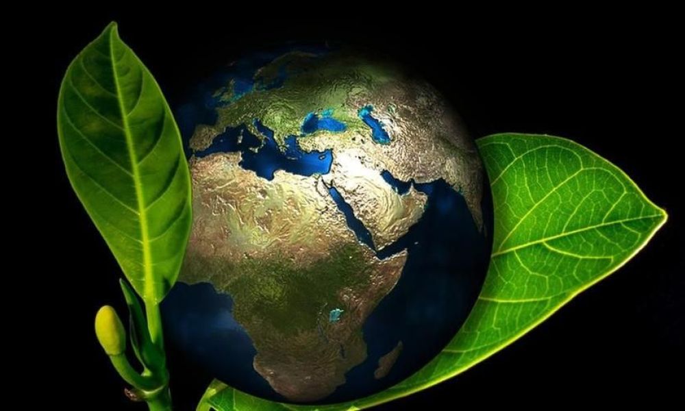 L'ecologia integrale