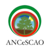 ANCeSCAO