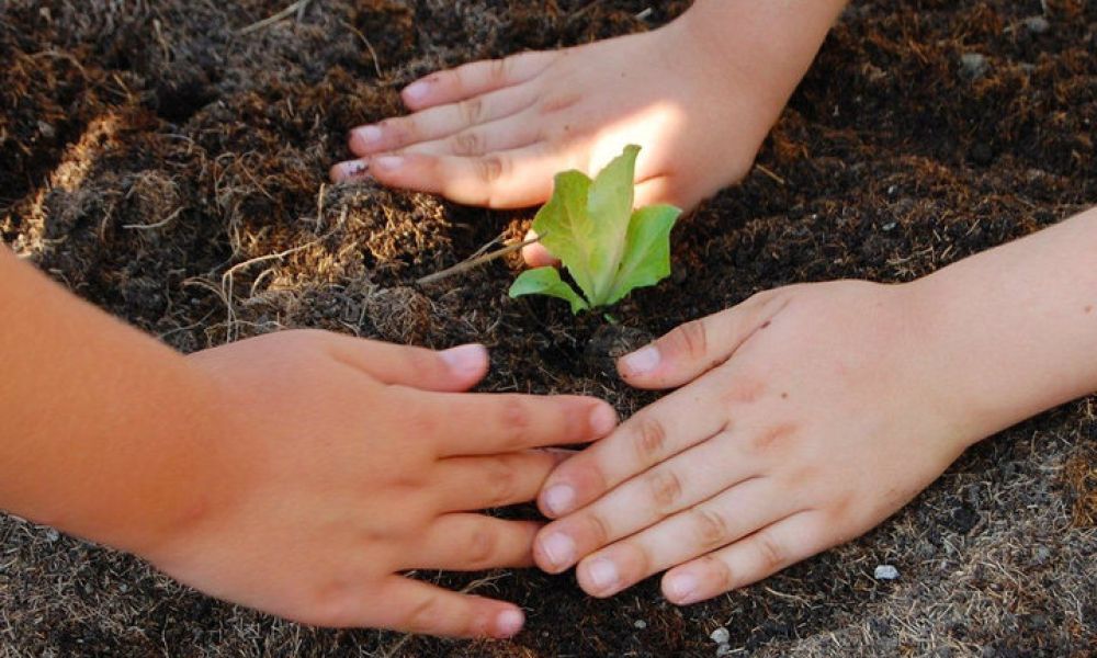 Inaugura l'orto-giardino del progetto "Aggiungi un orto a tavola"